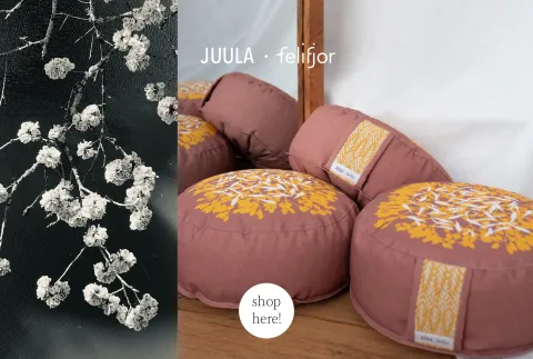 medi_shop3