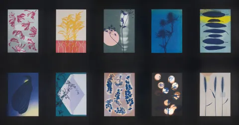 kartenuberblick_felifjor-ohne-weiss-corr