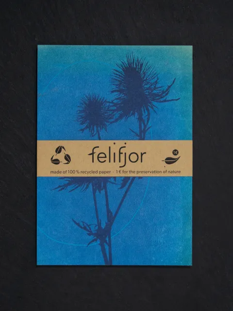 felifjor_karten_33