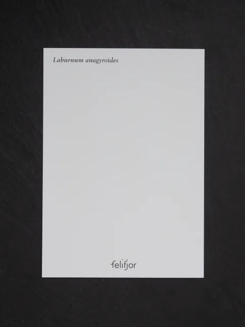 felifjor_karten_14