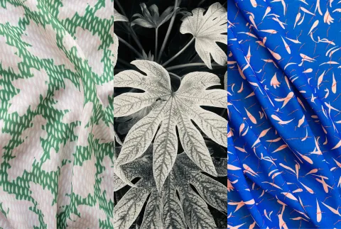 feli_eiche_und_chrysantheme