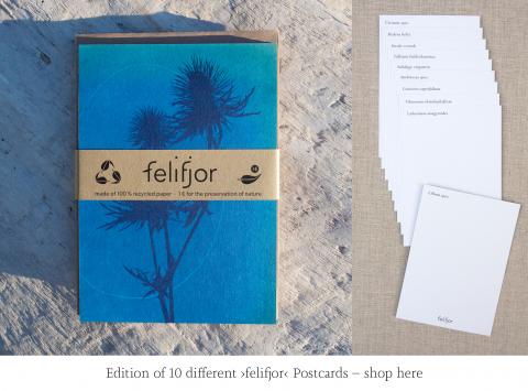 edition-of-10-felifjor-postcards-shop-here